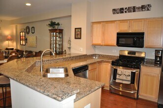 713 Blossom Ct in Naperville, IL - Building Photo - Building Photo
