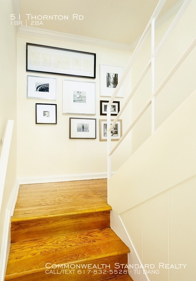 51 Thornton Rd in Brookline, MA - Building Photo - Building Photo