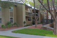 Double Tree Apartments in El Paso, TX - Building Photo - Building Photo