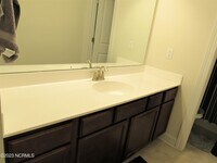 314 Old Snap Dragon Ct photo'