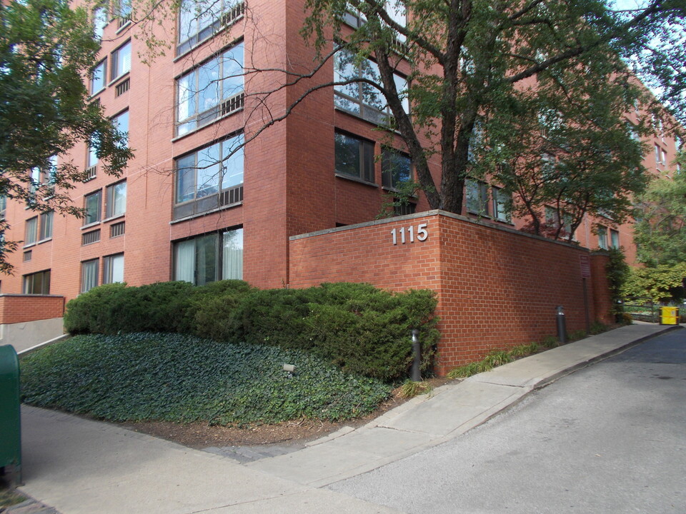 1115 S Plymouth Ct in Chicago, IL - Building Photo