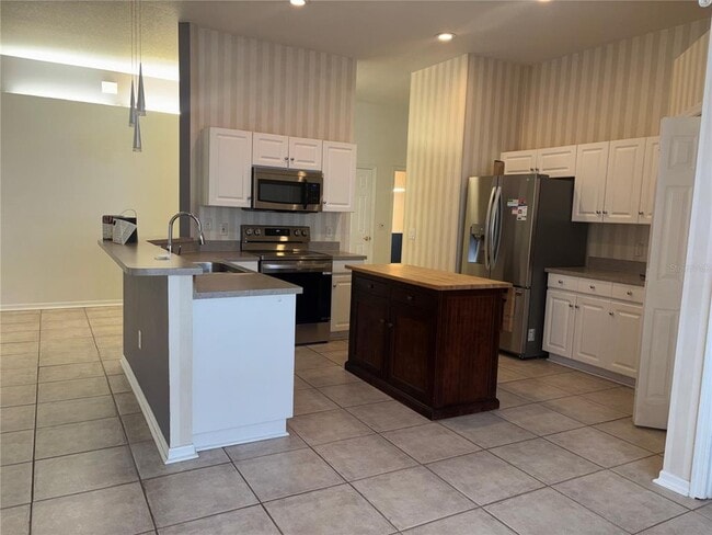 10132 Heather Sound Dr in Tampa, FL - Building Photo - Building Photo