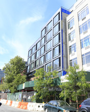 100 Steuben in Brooklyn, NY - Building Photo - Building Photo