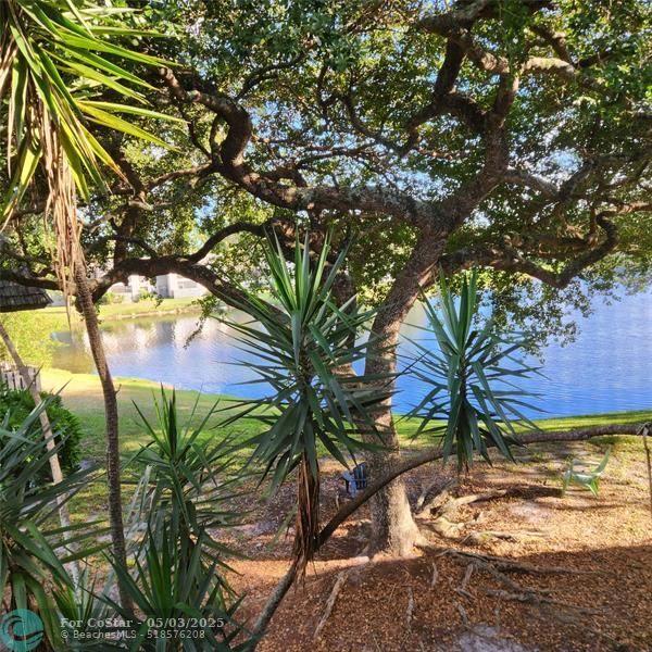 property at 3634 NW 95th Terrace
