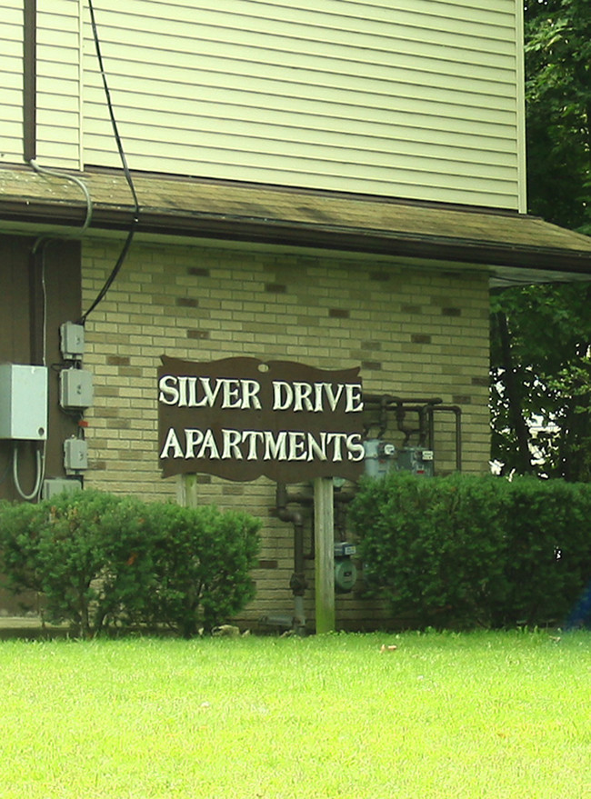 Silver Drive Apartments in Painesville, OH - Building Photo - Building Photo