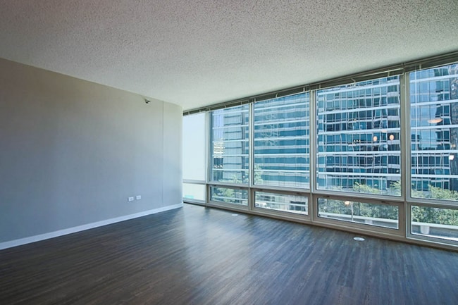 369 E Ohio St in Chicago, IL - Building Photo - Building Photo