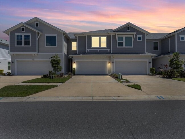 17228 Balance Cv in Land O Lakes, FL - Building Photo - Building Photo