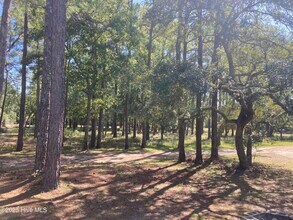 267 Watts Landing Rd in Hampstead, NC - Building Photo - Building Photo