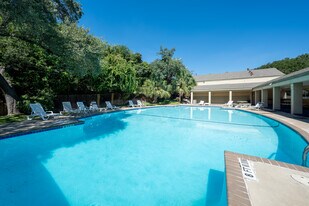 Woods of Brookhollow in San Antonio, TX - Building Photo