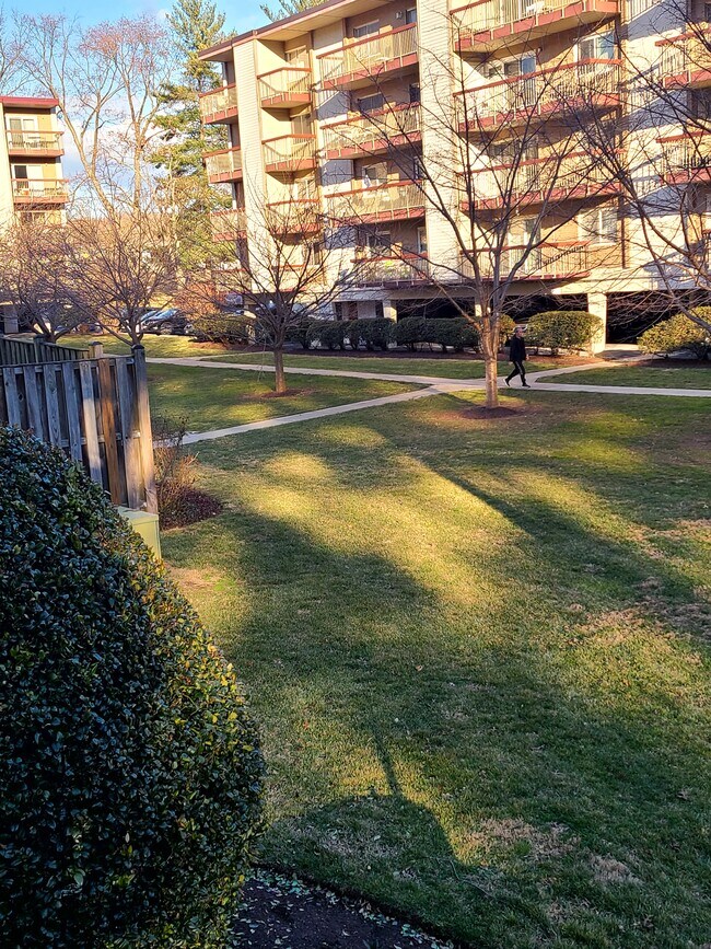 7420 Lakeview Dr Rentals in Bethesda, MD