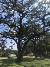 307 Stonewall Ln in Austin, TX - Building Photo - Building Photo