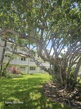 1900 NE 8th Ct in Fort Lauderdale, FL - Building Photo - Building Photo