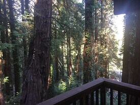 100 Wildomar St in Mill Valley, CA - Building Photo