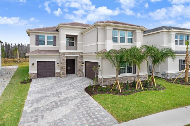 32375 Rosewood Meadow Ln in Wesley Chapel, FL - Building Photo - Building Photo