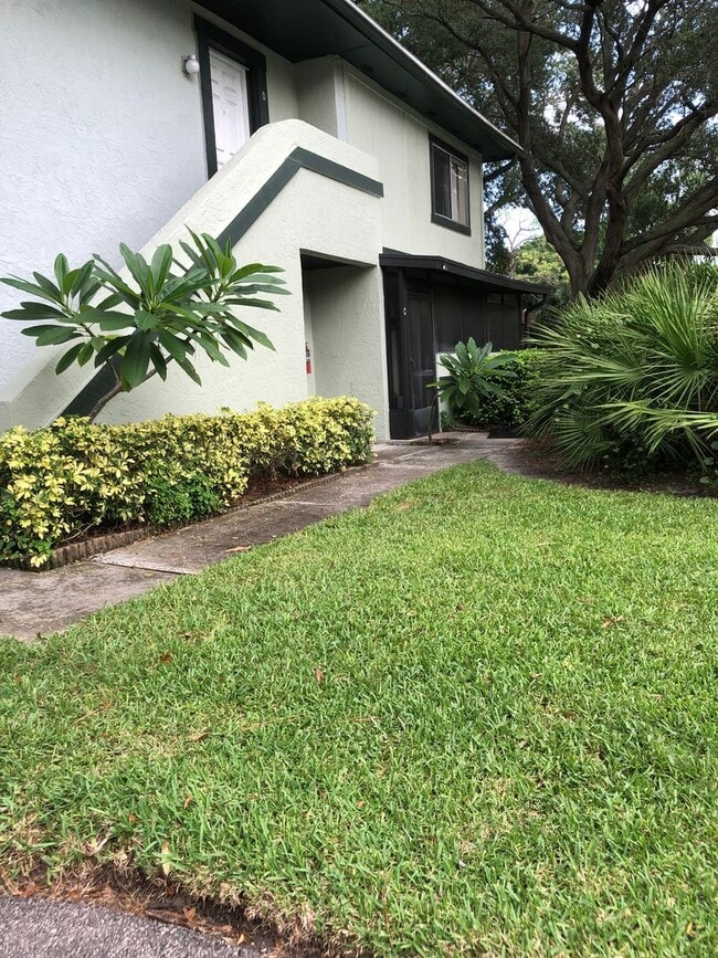 2922 Lichen Ln in Clearwater, FL - Building Photo - Building Photo