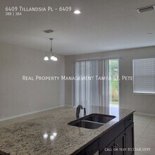 6409 Tillandsia Pl in Tampa, FL - Building Photo - Building Photo