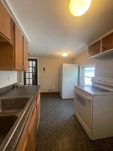 302 Wall St in Kalamazoo, MI - Building Photo - Building Photo