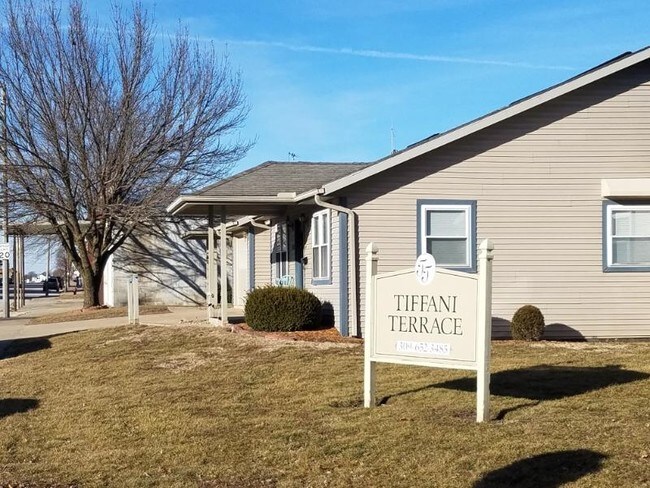 335 S Main St in Blandinsville, IL - Foto de edificio - Building Photo