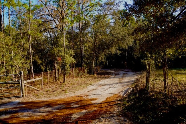 29205 Saddle Oaks Ln in Brooksville, FL - Foto de edificio - Building Photo