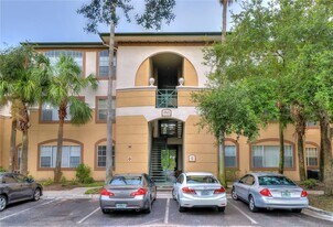 17102 Carrington Park Dr in Tampa, FL - Building Photo