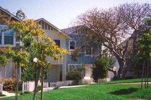 Madrone Village Apartments in Petaluma, CA - Building Photo