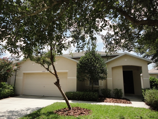 16809 Hawkglen Pl in Lithia, FL - Building Photo