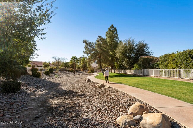 11115 E Bellflower Ct in Sun Lakes, AZ - Building Photo - Building Photo