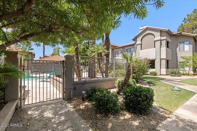 9600 N 96th St in Scottsdale, AZ - Foto de edificio - Building Photo