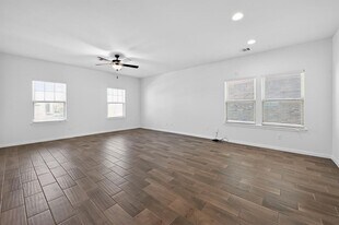 221 Arabian Colt Dr in Georgetown, TX - Building Photo