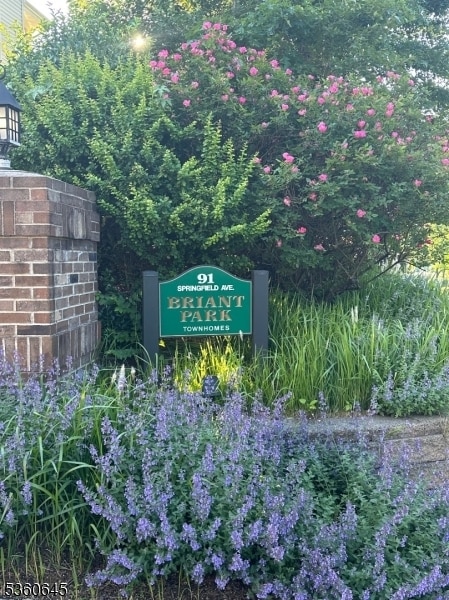 property at 91 Springfield Ave
