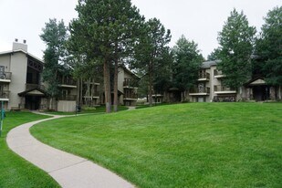29656 Buffalo Park Rd in Evergreen, CO - Building Photo