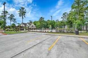 29717 Buffalo Canyon Dr in Spring, TX - Building Photo