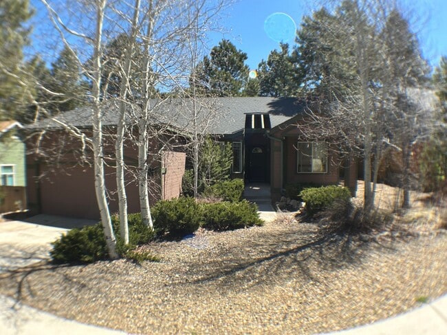 property at 877 W Lone Star Trail