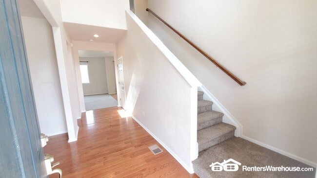 5438 Echo Hollow St in Castle Rock, CO - Building Photo - Building Photo