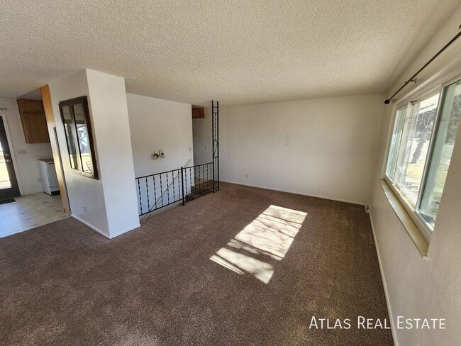 property at 115 Campbell St