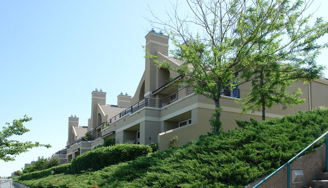 Chickasaw Bluffs in Memphis, TN - Building Photo - Building Photo