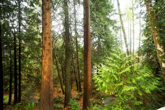 1114 Pawnee Ln, Unit Black Swan in Mount Vernon, WA - Building Photo - Building Photo