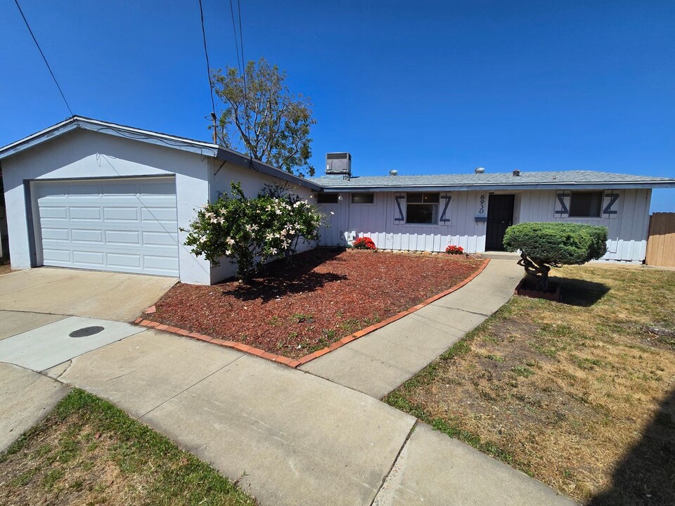 8930 Pinecrest Ave in San Diego, CA - Building Photo