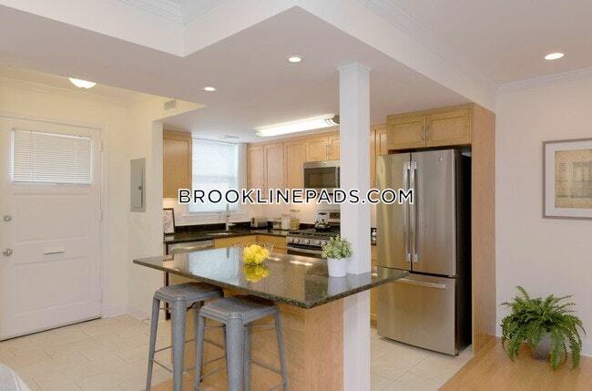 113 Thornton Rd in Brookline, MA - Building Photo
