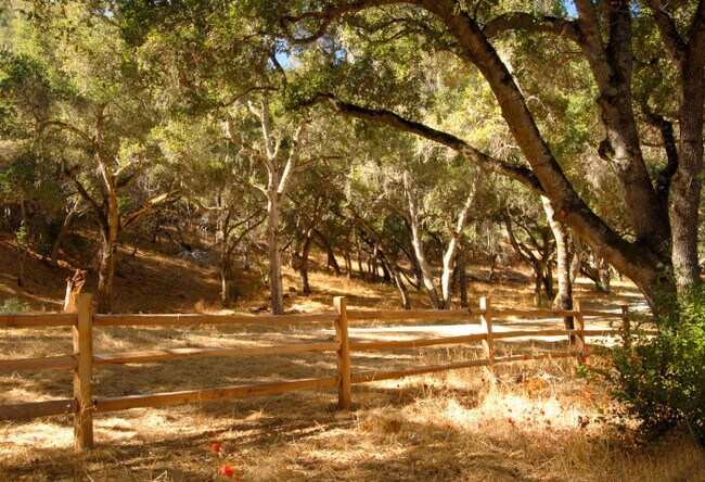 Apartamentos Alquiler en Carmel Valley, CA