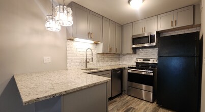 447 S Jefferson Ave in St. Louis, MO - Building Photo - Building Photo