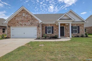 13918 Hickory Brk Rd in Athens, AL - Building Photo