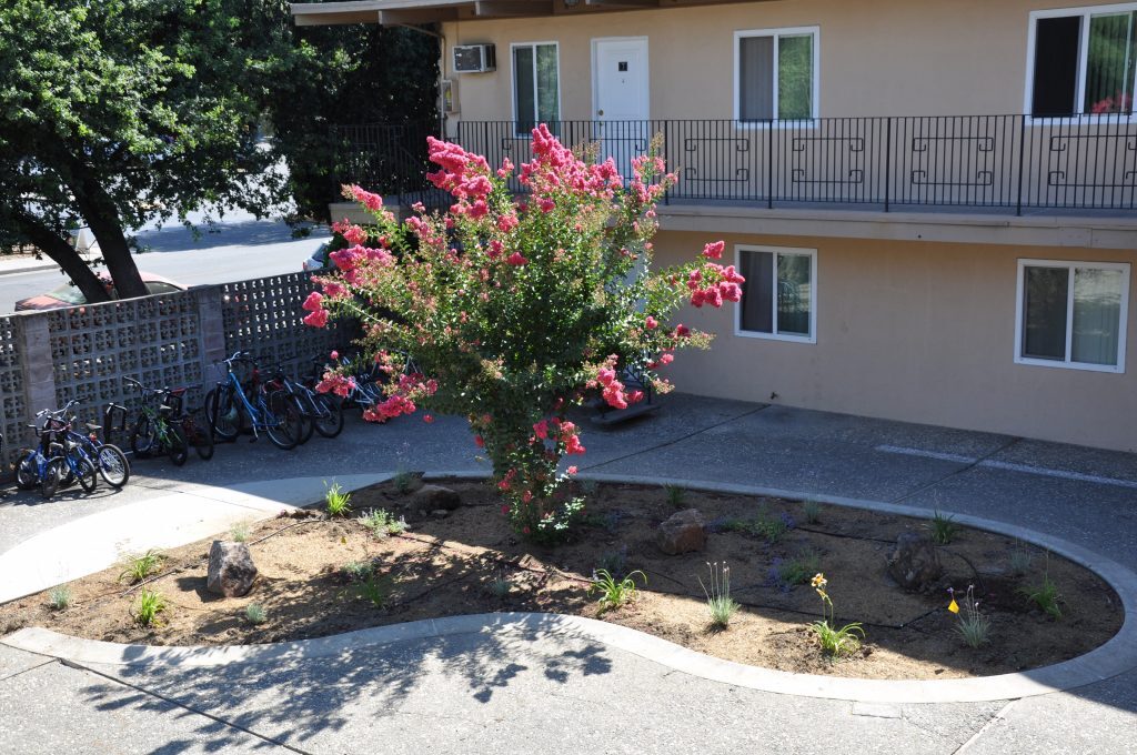 College Street Apartments in Davis, CA - Foto de edificio