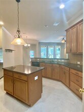 7450 Ambleside Dr in Land O Lakes, FL - Building Photo - Building Photo