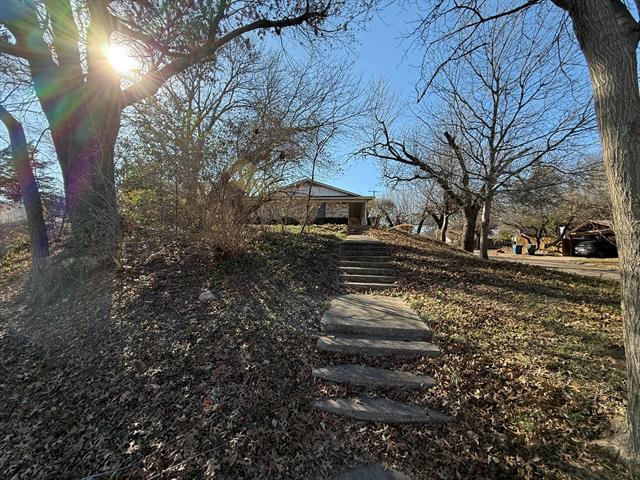 1137 Haines Ave in Dallas, TX - Building Photo - Building Photo