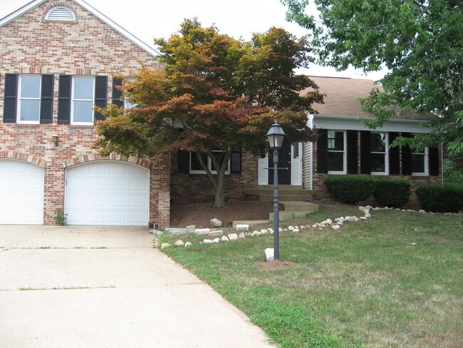 8626 Ambrose Ct in Manassas, VA - Foto de edificio - Building Photo