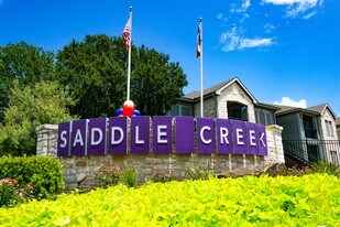 Saddle Creek And The Cove in Austin, TX - Building Photo