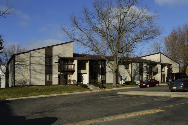 Wooded View Apartments in Ionia, MI - Building Photo - Building Photo