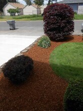 386 30th Ave SE in Albany, OR - Building Photo - Building Photo