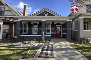 220 Sherman St in Denver, CO - Building Photo